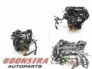 Motor ohne Anbauteile (Diesel) Ford Transit Connect V408 Kasten 1791017