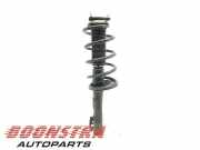 Federbein links vorne Ford Transit Custom V362 Bus F3 BK2118045JB