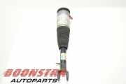 Federbein links vorne Tesla Model S 5YJS 103060800C