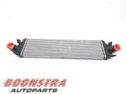 Ladeluftkühler Ford Focus IV Turnier HP JX616K775AD