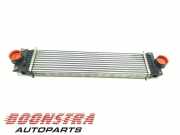 Ladeluftkühler Ford S-Max II CJ, WA6 E1G36K775JA
