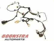 Kabelbaum Ferrari 599 GTB DIS226232