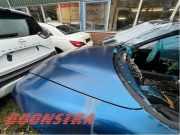 Motorhaube Maserati Gransport Coupe 65966300