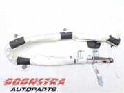 Airbag Dach rechts Tesla Model X 5YJX 0080P1110030