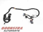 Kabelbaum Ferrari 458 Spider 265156