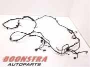 Kabelbaum Tesla Model X 5YJX 103244301H