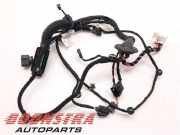 Kabelbaum Porsche Taycan Y1A 9J1971693E