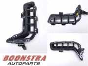 Lüftungsgitter für Stoßfänger BMW X5 G05, F95 10503420
