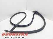 Türgummi links vorne Tesla Model 3 5YJ3 1910983