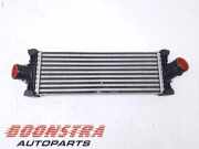 Ladeluftkühler Ford Transit V363 Kasten FCD, FDD GK216K775AE