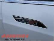 Türgriff rechts vorne Tesla Model S 5YJS 1030274S0A
