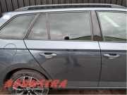 Tür rechts hinten Skoda Fabia III Kombi NJ 6V9833056A