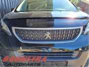 Kühlergrill Peugeot Expert III Kasten V 9845427080