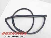 Türgummi links hinten Tesla Model 3 5YJ3 191098501