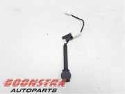 Kabelbaum Porsche 911 Cabriolet 997 99761269525