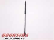 Heckklappendämpfer links Jaguar I-Pace X590 J9D3406A11AA