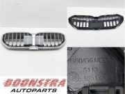 Kühlergrill BMW 5er G60, G68, G90 8084674