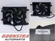 Elektrolüfter Renault Kangoo II Rapid FW0 214818192R