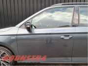 Tür links vorne Skoda Fabia III Kombi NJ 6V0831055A