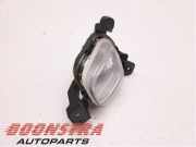 Nebelscheinwerfer links vorne Citroen C3 III SX 9685425280