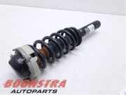 Federbein links vorne Audi Q5 FY 80A413031S