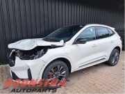 Katalysator ohne Lambdasonde Ford Kuga III DFK NX685G232BC