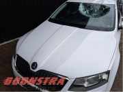 Motorhaube Skoda Octavia III 5E 5E0823031