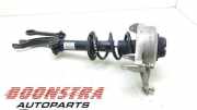 Federbein rechts vorne Audi A4 Avant 8K, B8 8K0413038L