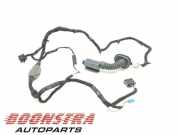 Kabelbaum BMW 3er G20, G28, G80 5A0C089