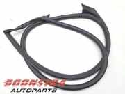 Türgummi links vorne Audi R8 4S A02SSN000319