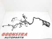 Kabelbaum Ferrari California 283502