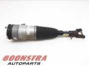 Federbein links vorne Tesla Model S 5YJS 103060800C