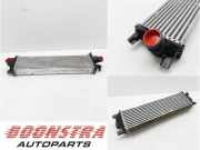 Ladeluftkühler Ford Transit V363 Kasten FCD, FDD LK416K775HB