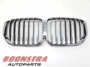 Kühlergrill BMW X5 G05, F95 21454110