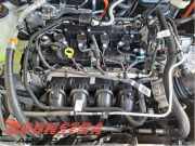 Motor ohne Anbauteile (Benzin) Ford Kuga III DFK LX6E6006EA