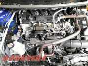 Motor ohne Anbauteile (Benzin) Toyota Yaris Cross MXP 19000F3020