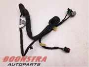 Kabelbaum Ford Transit Connect V408 Kasten DV6T14603BB