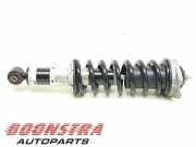 Federbein links hinten Ferrari 599 GTB 212509