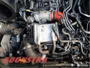 Motor ohne Anbauteile (Diesel) VW Crafter Kasten SY, SX 04L129709E