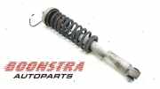 Federbein links hinten BMW 5er E60 33522283990