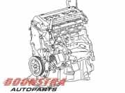 Motor ohne Anbauteile (Benzin) Toyota Yaris P13 1900021D01