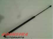 Gasdruckfeder Audi A3 Sportback 8V 8V0823359