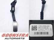Fahrpedal Ford Fiesta VII HJ, HF H1BC9F836AAD