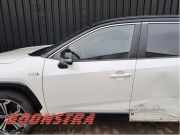 Tür links vorne Toyota RAV 4 V A5, H5 6700242181
