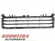 Kühlergrill BMW 5er G30, F90 51117385267