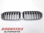 Kühlergrill BMW 3er G20, G28, G80 511319297610