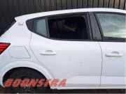 Tür rechts hinten Dacia Sandero III DJF