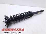 Federbein rechts hinten Tesla Model S 5YJS 101562001E