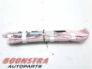 Airbag Dach rechts Ford EcoSport 2523380