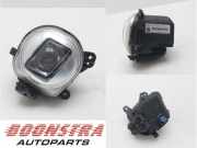 Nebelscheinwerfer links vorne BMW X5 F15, F85 63177317251